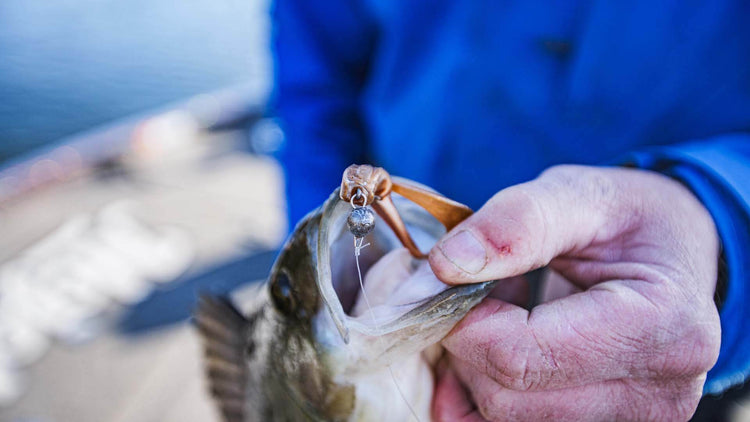 Upptäck vårt utvalda sortiment av beten – jiggar, jerkbaits – för sportfiske.