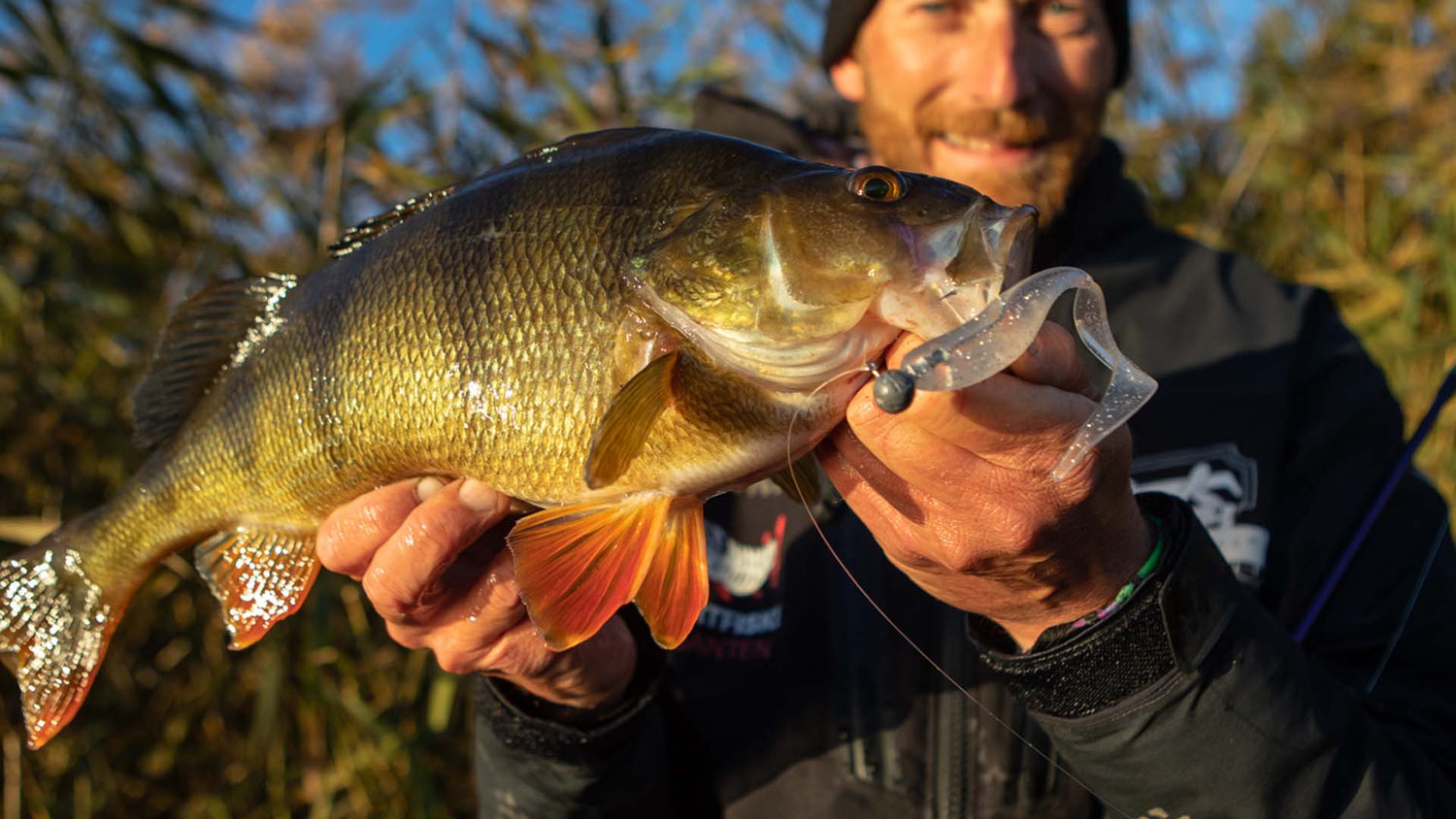Upptäck jiggar för abborrefiske – både shad och tail jiggar som fungerar i alla vatten.